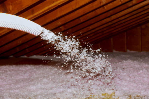 Best DIY Insulation Kits and Guidance in Lowell, OR